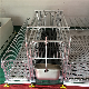 Single & Double Hot- Dipped Galvanization Sow Farrawing Crate manufacturer