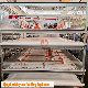 Battery Pan Feeding Rearing Broiler Cage for Poultry Chicken House manufacturer