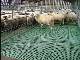  Farm Equipment Goat Sheep Plastic Slats Floor