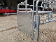 Pig House Design Farming Equipment Hog Wire Fence Used Sow Farrowing Crates
