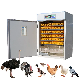  528 Automatic Incubator Transparent Owned New Family Chicken Incubator and Hatching Machine