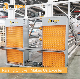 A Type Layer Cage with Full Automatic Poultry Manure Cleaning System and Feeding System manufacturer