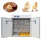 CE Approved Large Chicken Incubator Hatching Eggs Solar Energy Egg Incubator Chicken Egg Incubator Hatching Machine