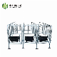  Wholesale Customized Pig Gestation Pen Sow Farm Gestation Stall Gestation Crate
