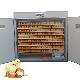 Digital Chicken Egg Incubator Hatchery Hatching Machine for Sale