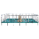  High Quality Cheapest Price / Automatic Farrowing Stall / Pig Farm Farrowing Crate/Livestock Machinery