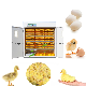 Automatic 1000 Large Chicken Incubator Hatching Eggs Solar Energy Egg Incubator manufacturer