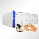 TCA High Quality Quail Incubators Smart Egg Hatching Machine Fully Automatic