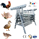 Poultry Plucker Machine for Chicken Duck Goose Quail Slaughter House Feather Cleaning Equipment