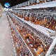 Chicken Cage Battery Poultry Farming Laying Hens Equipment Hens Coop