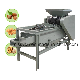 for Sale Automatic Electric Pecan Crackers Nut Breaker Walnut Shelling Nutcracker Equipment Processing Machine