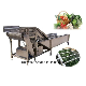 Multifunctional Vegetable Fruit Washing Washer Cleaning Processing Machine (WSQP) manufacturer