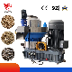  Efficient Biomass Sawdust Rice Hull Straw Sawdust Granulator Jiu′an Brand Granulator
