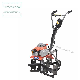 Mini Tiller, Walking Tiller 53cc manufacturer