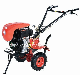 Farm Machinery D173f 6HP Mini Diesel Tiller with Light Gp3.8c manufacturer