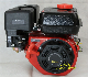  168f Gasoline/Petrol Engine for Water Pump, Construction, Agriculture Equipment