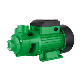 Powertec Industrial Heavy Duty Centrifugal Pump Irrigation Fire Fighting High Pressure Water Electric Water Pump