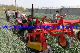 Hot Sale Garlic Harvester with 30HP Four-Wheel Tractor for Middle East manufacturer