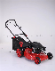 6 HP Hand Push 22" Gasoline Steel Lawn Mower