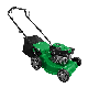  Powertec 127.1 Cc Engine 4-Stroke High Quality Gasoline 2.0kw Gasoline Lawn Mower