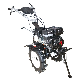  6.5HP Small Petrol Motor Hoe with Ce Certification 4.00-8 Tyre Black Color