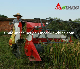  Manually Unloading Cheap Small Rice Harvester Factory Price on Sale