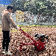  Dry Cultivating Machinery 4-Stroke Aerobs Wooden Box Packaging Gasoline Mini Power Tiller