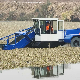 Full Automatic Water Weed Floating Wastes Trash Skimmer Vessel Machine Boat River Aquatic Weed Plant Harvester Machine manufacturer
