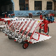 Hot Selling Rice Planting Machine 2z-8238 8 Rows 238mm Rows Width Riding Type Rice Transplanter manufacturer