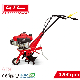 Ohv 4 Stroke 4HP Gasoline Agricultural Cultivator 36cm Working Width Mini Tiller (GT36)