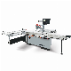  Dezmag Dez832PRO Fully Automatic Precise Panel Saw