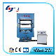  Hydraulic Vulcanizing Hot Press Plate Vulcanizer Press Machine
