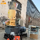 Biomass Wood Sawdust Mill Pelletizer Pellet Making Machine for Sale