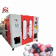 Soft LDPE Sea Ball Toys Extrusion Blowing Mold Making Machine manufacturer