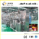  Small Mini Fruit Juice Production Line From Shanghai Chase