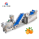  Industrial Production Food Vegetable Cutting Lifting and Washing Machine Production Line