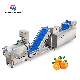 Industrial Production Food Vegetable Cutting Lifting and Washing Machine Production Line