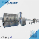 Automatic Pet Bottle Liquid Drinking Water Juice Carbonated Filling Machine Bottling Machine