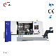 CNC Lathe Machine/CNC Turning Center/ Horizontal Lathe (Z-MaT TN700) manufacturer