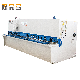 Top Mind QC12y Hydraulic Sheet Metal Guillotine Swing CNC Shearing Cutting Machine manufacturer