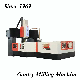 Professiona Gantry Milling Machine with Boring, Milling and Drilling Funtions manufacturer