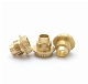 Made in China Machining Part M4 M5 M6 Cap Head with Flange Precision Turning Brass Gold Yellow Plated Screw