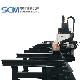  Dzl600 Single Spindle Drilling Machine for Beams