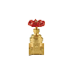 Premium Brass Gate Valve with Water Seal manufacturer