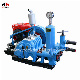  Single Acting Reciprocation Piston Mud Pump for Water Well Drilling 25bar Triplex