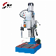 Metal High Precision Vertical Drilling Machine Z5025b High Quality Vertical Drilling Machine