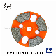 Diamond Metal Surface Grinding Discs