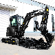  2.5 Ton 3.5 Ton Digger Micro Size Free Shipping Digger CE Mini Excavator for Salehigh Quality Excavators Machine Cheap 3 Ton Mini Amphibious 5ton Excavator