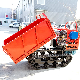 Multi-Functional Diesel Crawler Hydraulic Dumper for Farmland/Palm