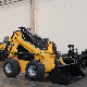 Sdjg Skid Steer Loader New Track Skid Steer Loader Interchangeable Equipment Utility Loade